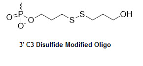 Bio-Synthesis Inc. Oligo Structure